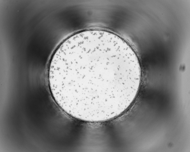 X0000103901384200810101235