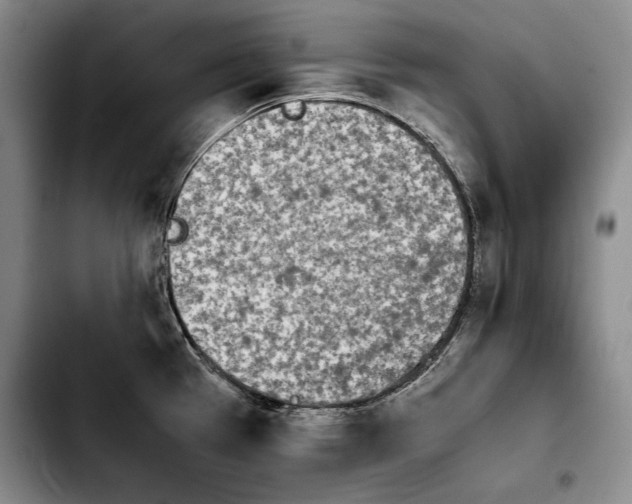 X0000103901385200810101235