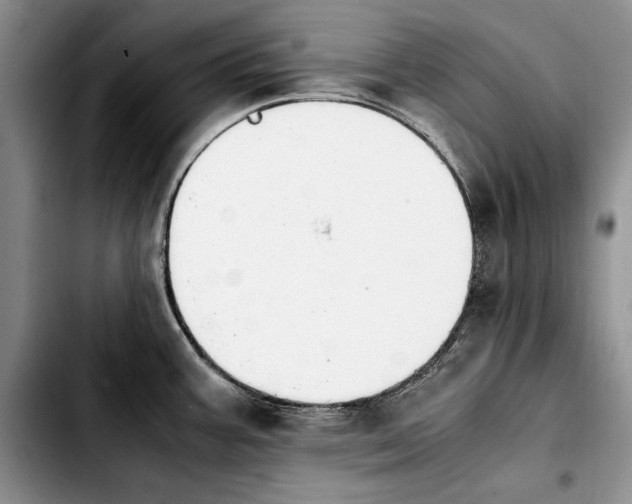 X0000103901387200810101235