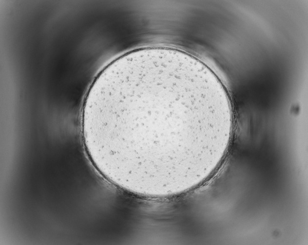 X0000103901388200810101235