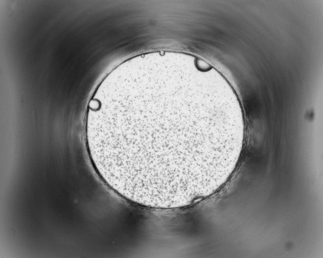 X0000103901389200810101235