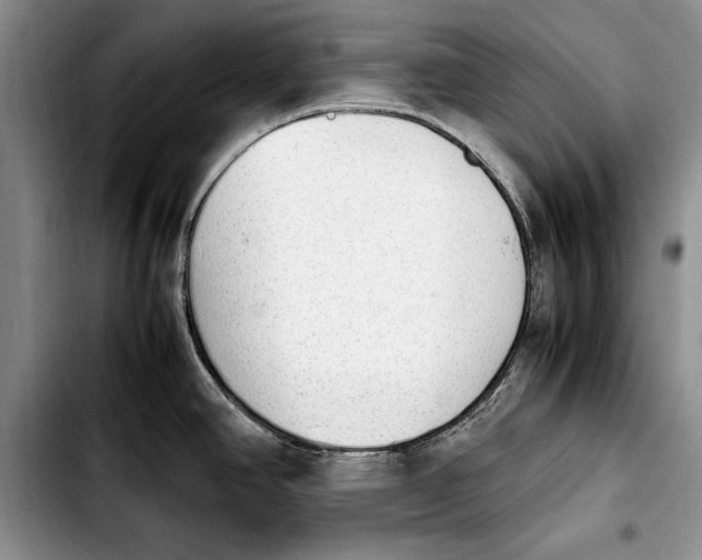 X0000103901390200810101235