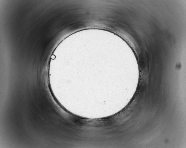 X0000103901391200810101235