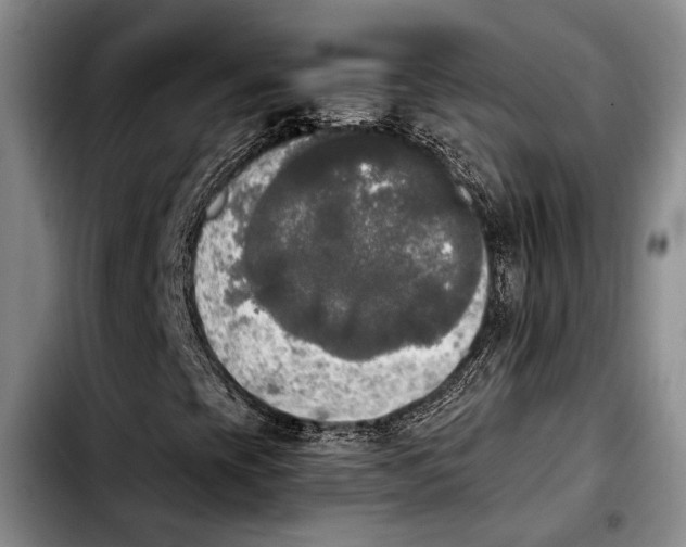 X0000103901393200810101234