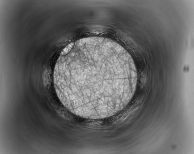 X0000103901394200810101234