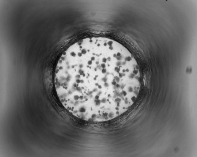 X0000103901396200810101234