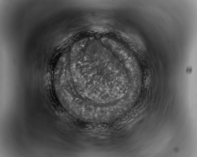 X0000103901397200810101234