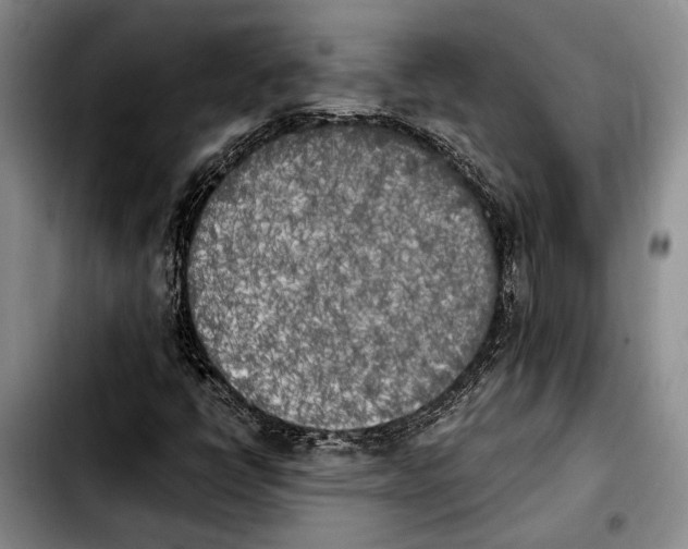 X0000103901398200810101234