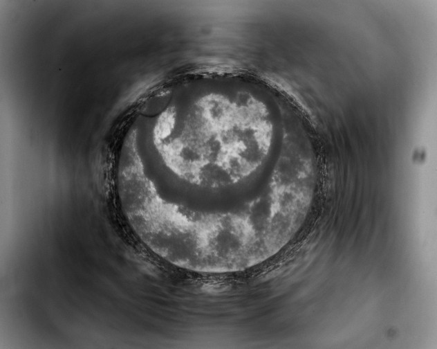 X0000103901399200810101234