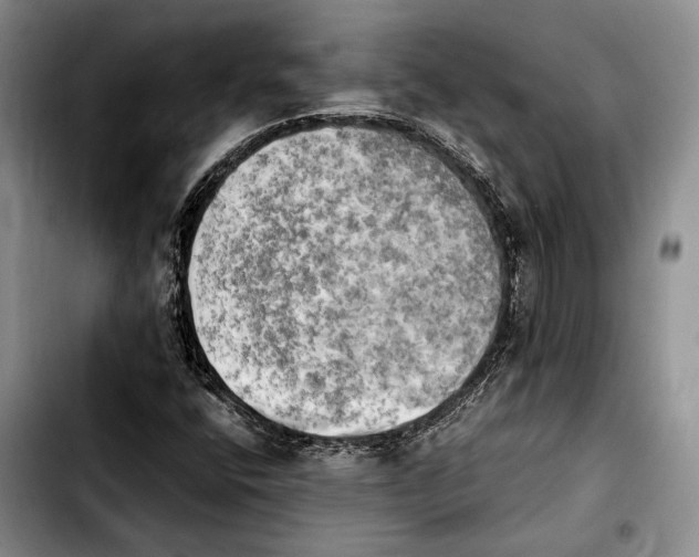 X0000103901400200810101234