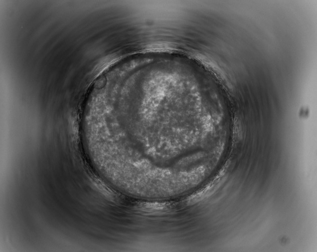 X0000103901401200810101234