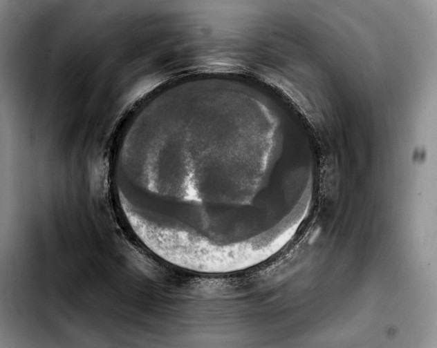 X0000103901402200810101234