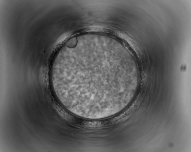 X0000103901403200810101234