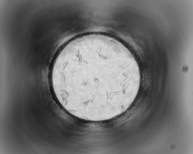 X0000103901404200810101234