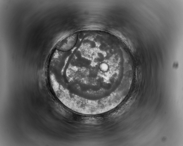 X0000103901405200810101234