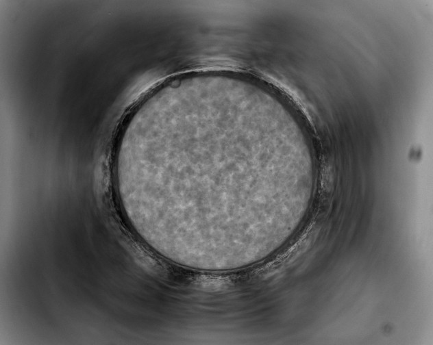 X0000103901407200810101234