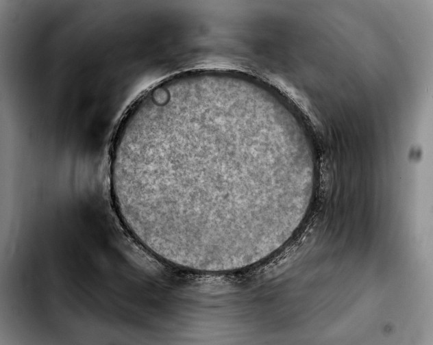 X0000103901408200810101234