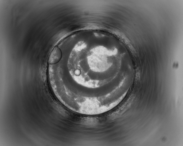 X0000103901409200810101234