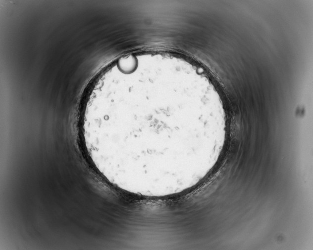 X0000103901410200810101234