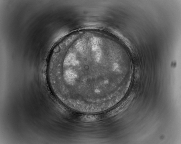 X0000103901411200810101234