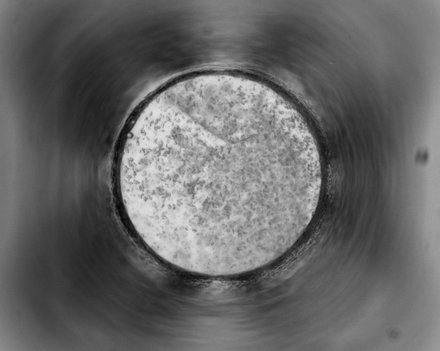 X0000103901412200810101234