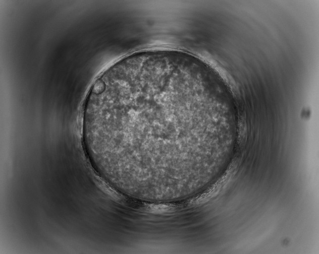 X0000103901413200810101234