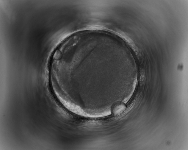 X0000103901414200810101234