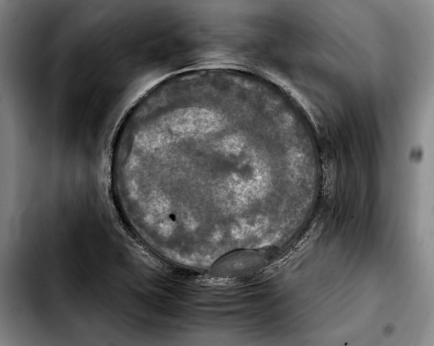 X0000103901415200810101234