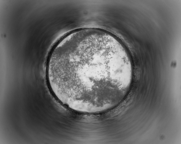 X0000103901416200810101234