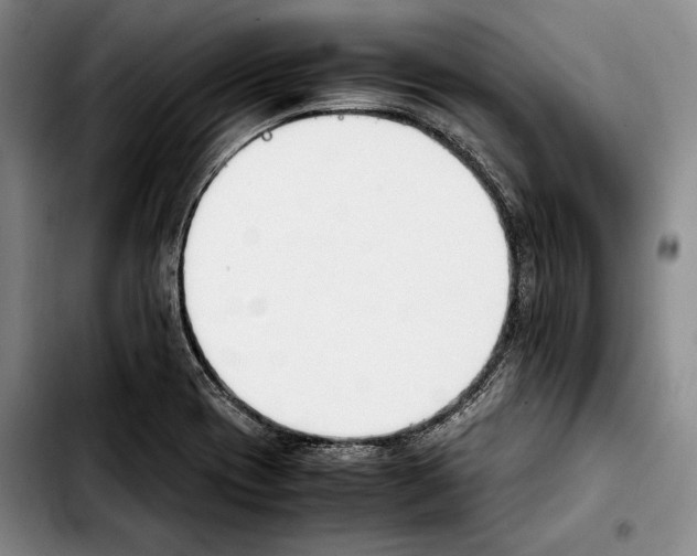 X0000103901417200810101234