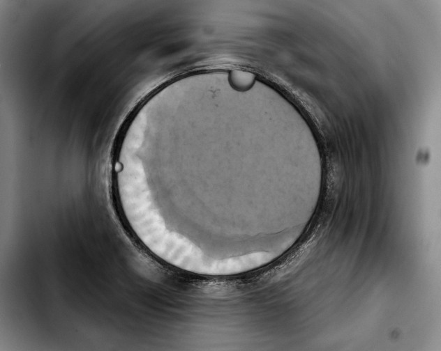 X0000103901418200810101235