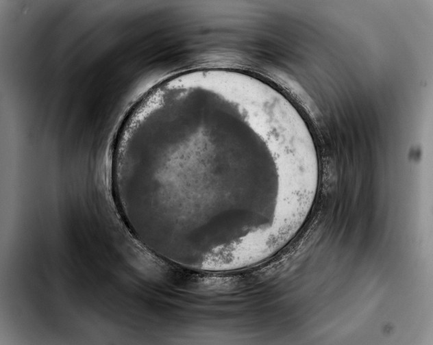 X0000103901419200810101235