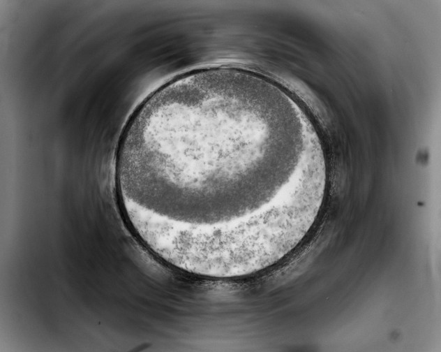 X0000103901420200810101235