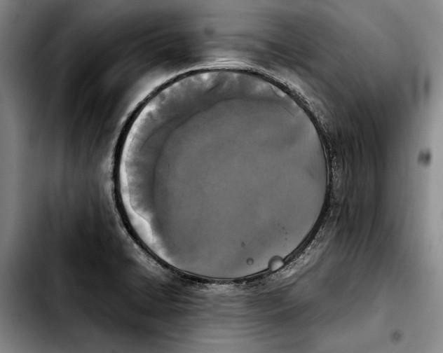 X0000103901422200810101235