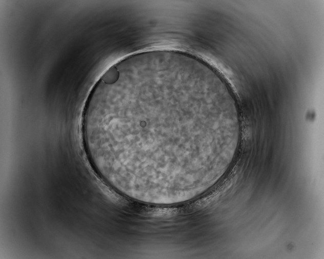 X0000103901423200810101235