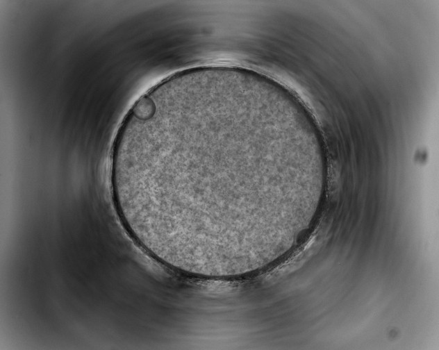 X0000103901424200810101235