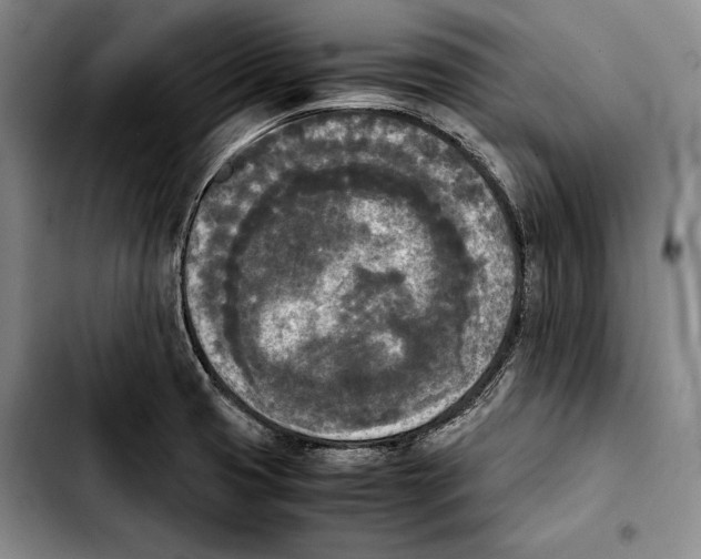 X0000103901425200810101235