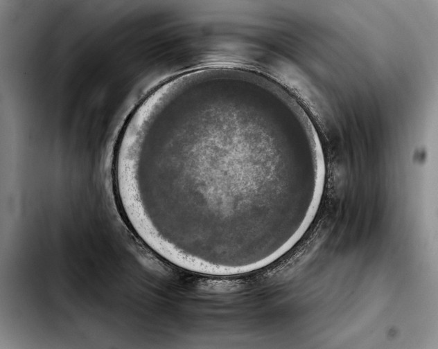 X0000103901427200810101235