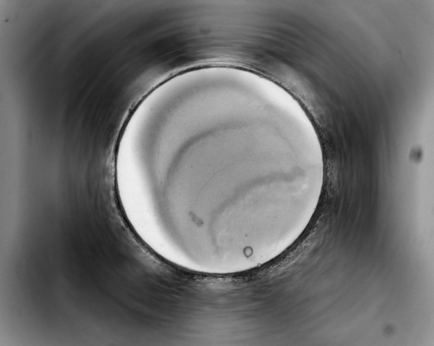 X0000103901428200810101235