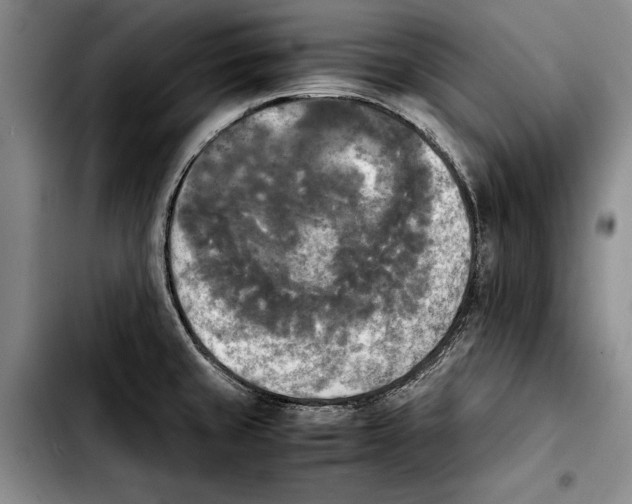 X0000103901429200810101235