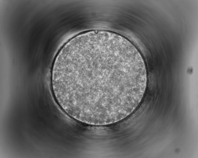 X0000103901432200810101235