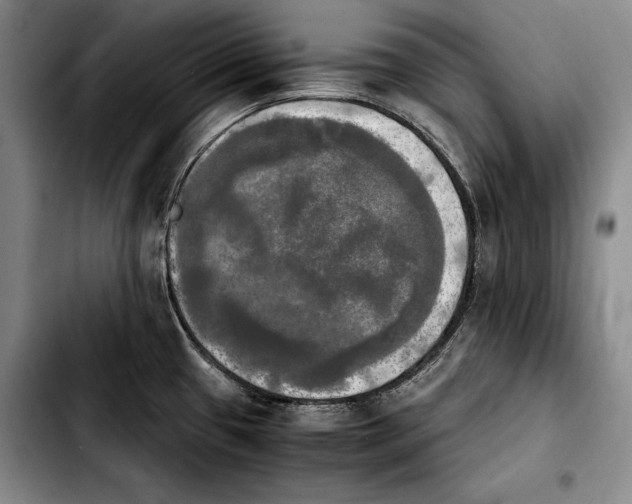 X0000103901433200810101235