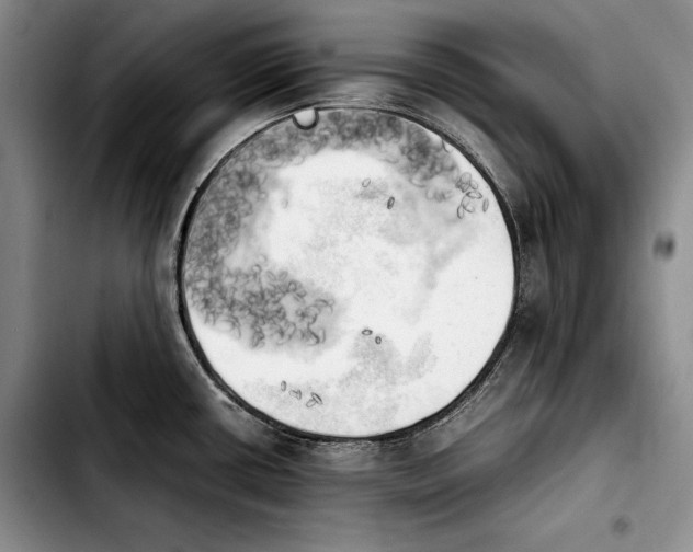 X0000103901434200810101235