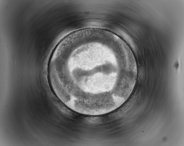 X0000103901435200810101235