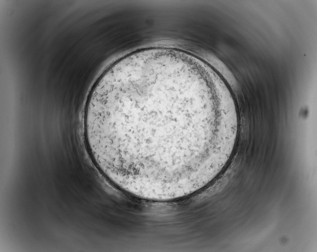 X0000103901436200810101235