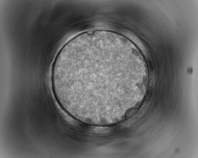 X0000103901439200810101235