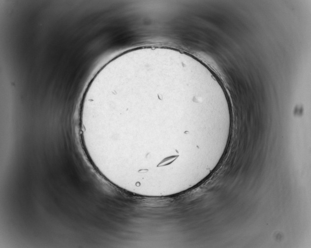 X0000103901440200810101235