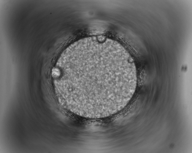 X0000103901441200810101234