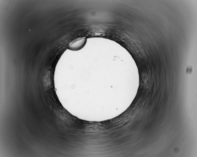 X0000103901442200810101234