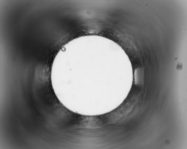 X0000103901443200810101234